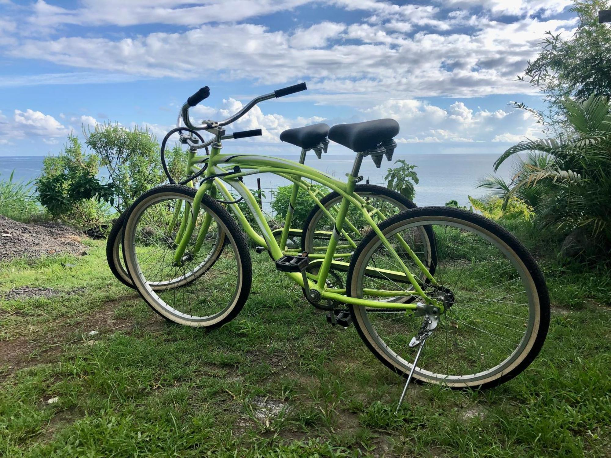 Maui Homestay Vue Ocean Exceptionnelle & Baleines En Saison Tohautu المظهر الخارجي الصورة