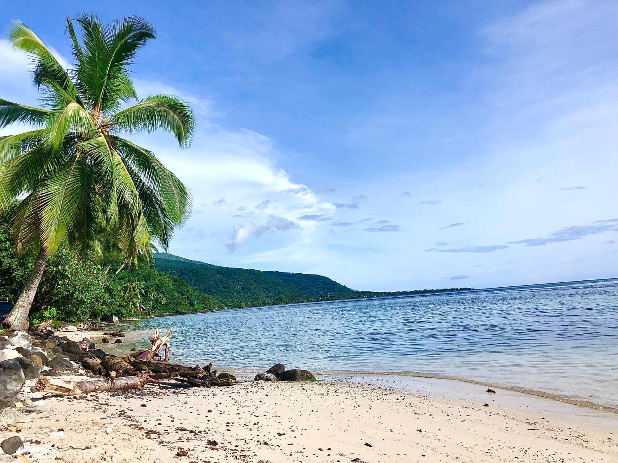 Maui Homestay Vue Ocean Exceptionnelle & Baleines En Saison Tohautu المظهر الخارجي الصورة