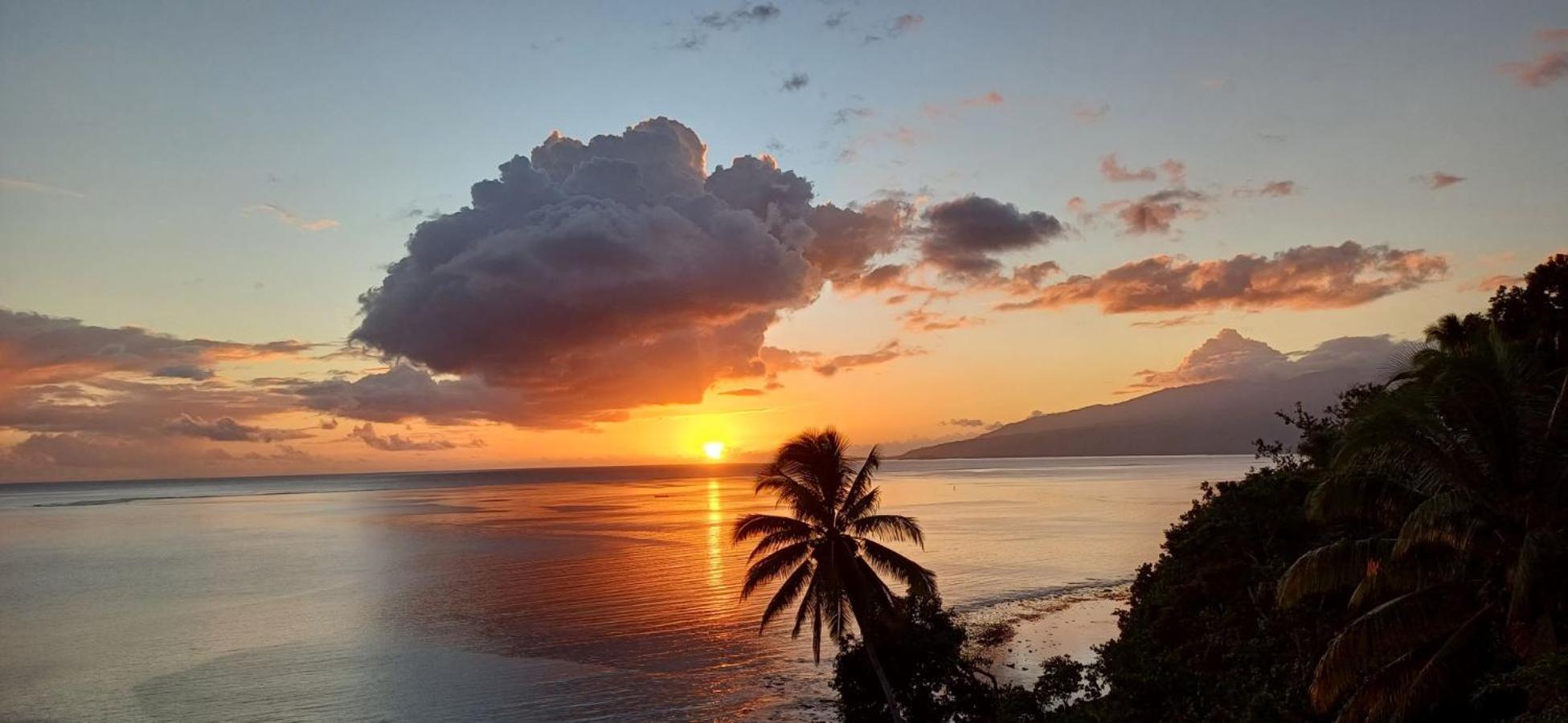 Maui Homestay Vue Ocean Exceptionnelle & Baleines En Saison Tohautu المظهر الخارجي الصورة